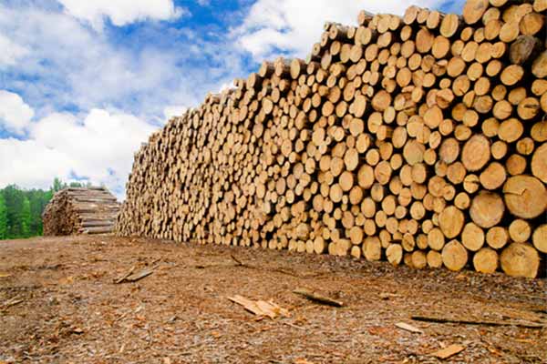 hout behandelen, hout verduurzamen