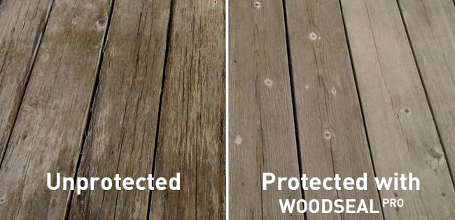 Woodseal Pro - benefits - wood protected, unprotected