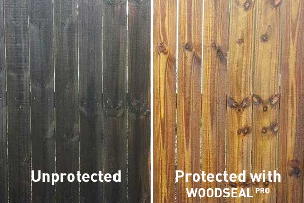 Woodseal Pro - treated wood